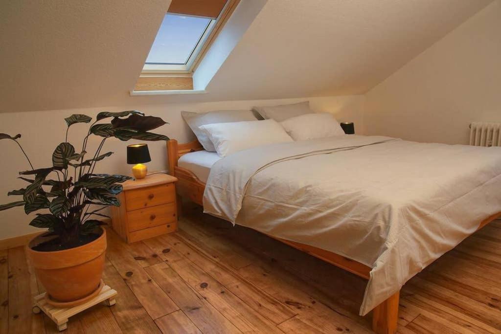 Germerode Ferienwohnung “Mount Meissner” מראה חיצוני תמונה